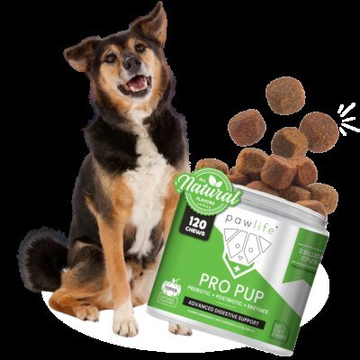 Glossy Fur Daily Support